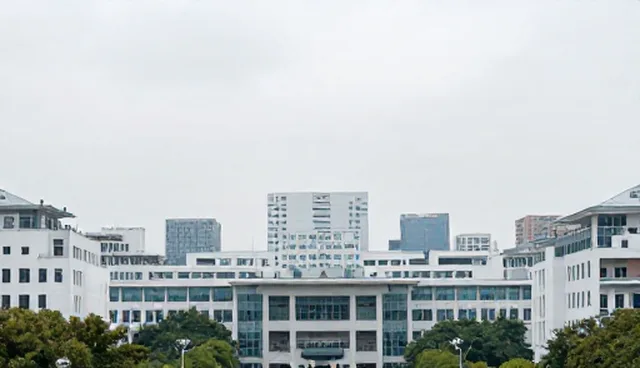系统响应优化:性能与适用条件的取舍